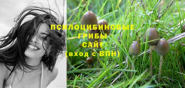 стафф Абинск