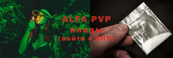 стаф Алексин