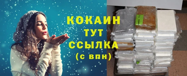 стаф Алексин