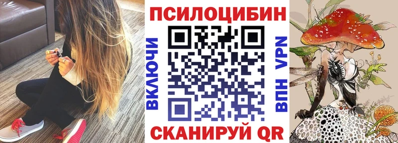 Псилоцибиновые грибы прущие грибы  наркошоп  Сорочинск 