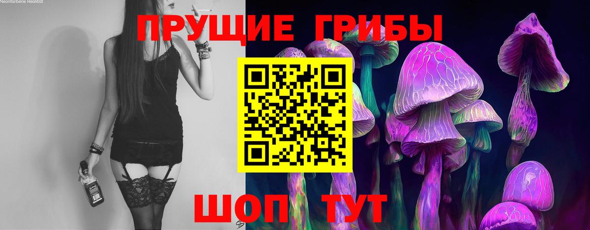 Псилоцибиновые грибы Cubensis  Вход с VPN  Сорочинск  Галлюциногенные грибы Psilocybe 